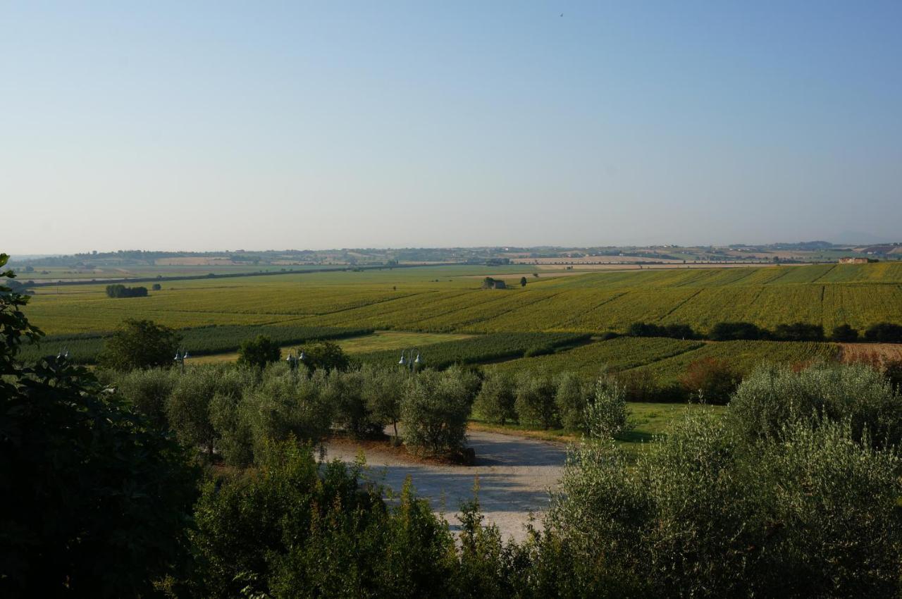 Agriturismo S.Angelo Βίλα Foiano Della Chiana Εξωτερικό φωτογραφία